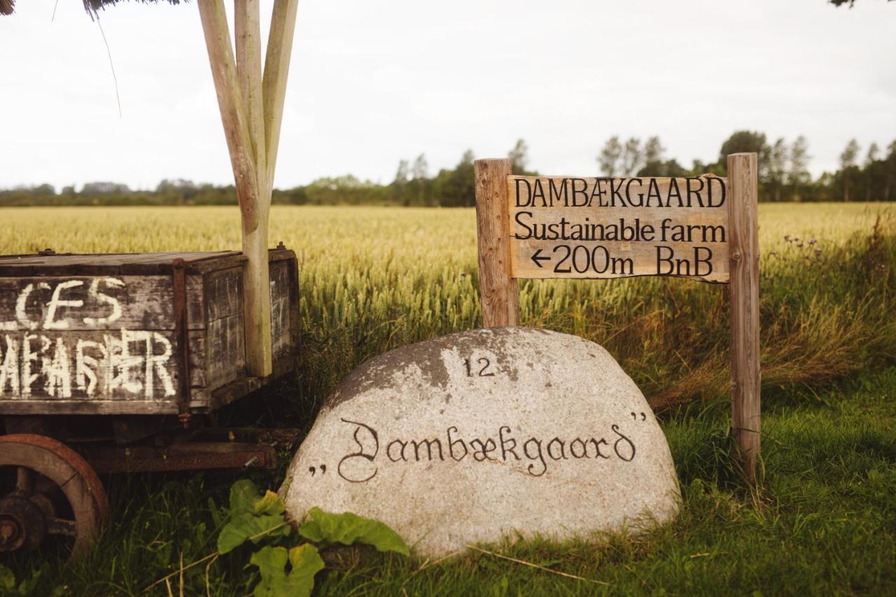 Villa Dambaekgaard Sustainable Farm Harlev  Exterior foto
